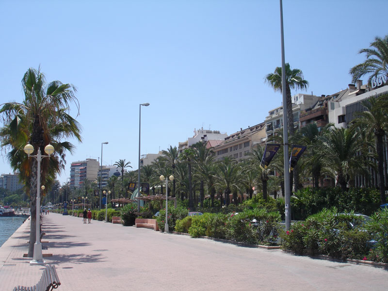 Palm-lined promenade beside Alicante harbour in bright daylight.