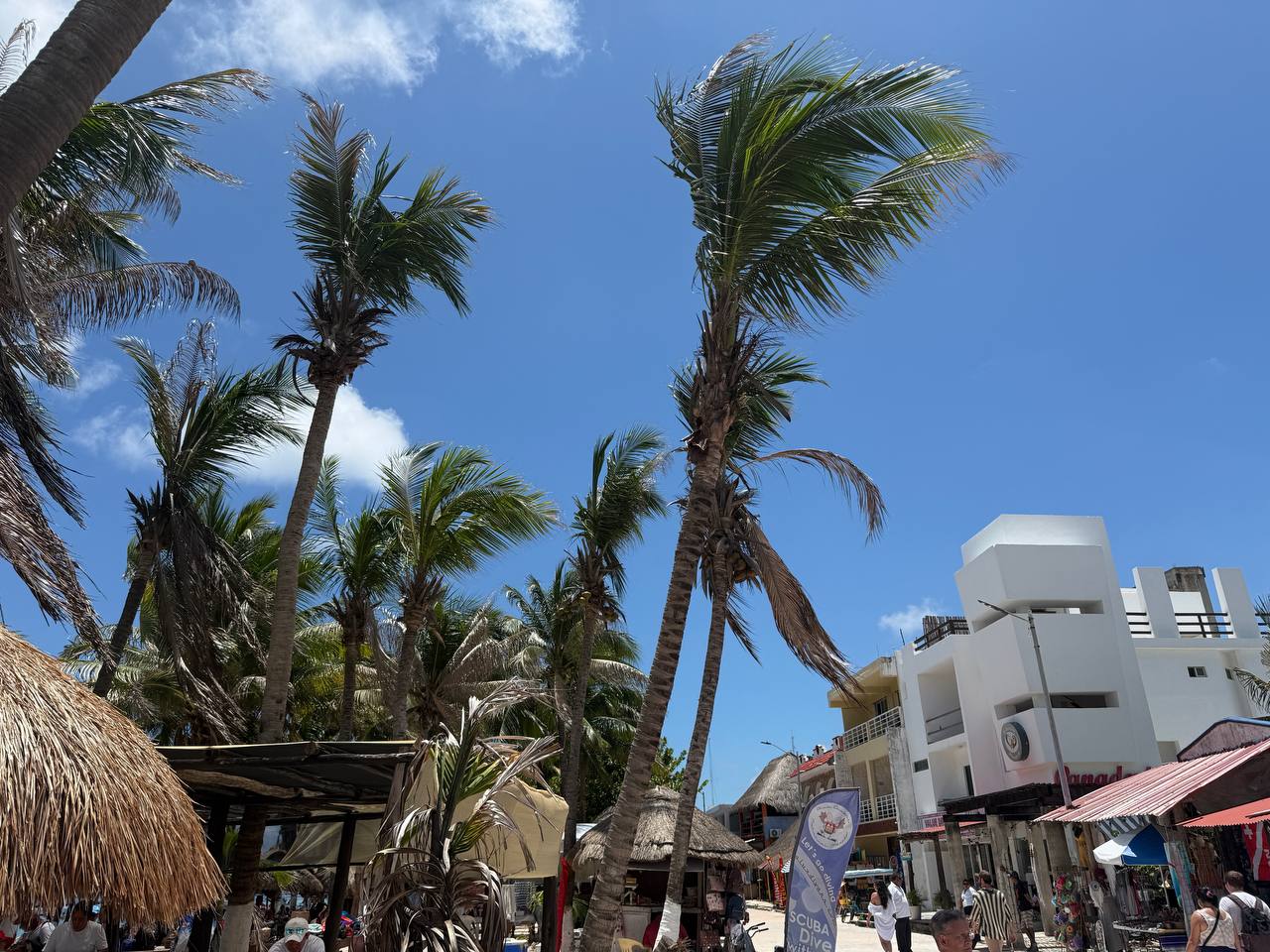 Palm-lined storefront stretch near The Krazy Lobster in Costa Maya with bright sky and beach-club strip context.