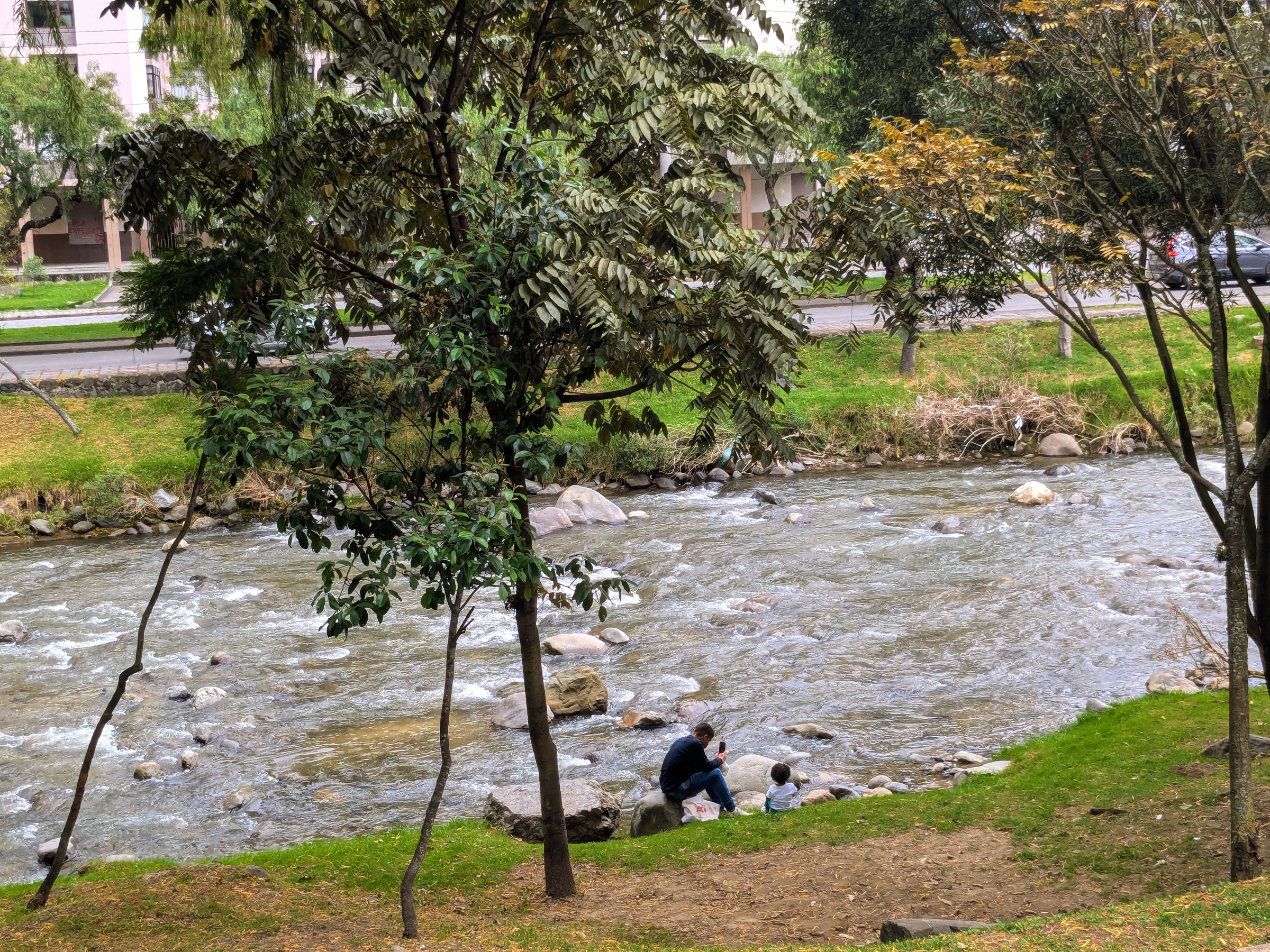 Daytime view of the Tomebamba River running through Cuenca with greenery along the bank.