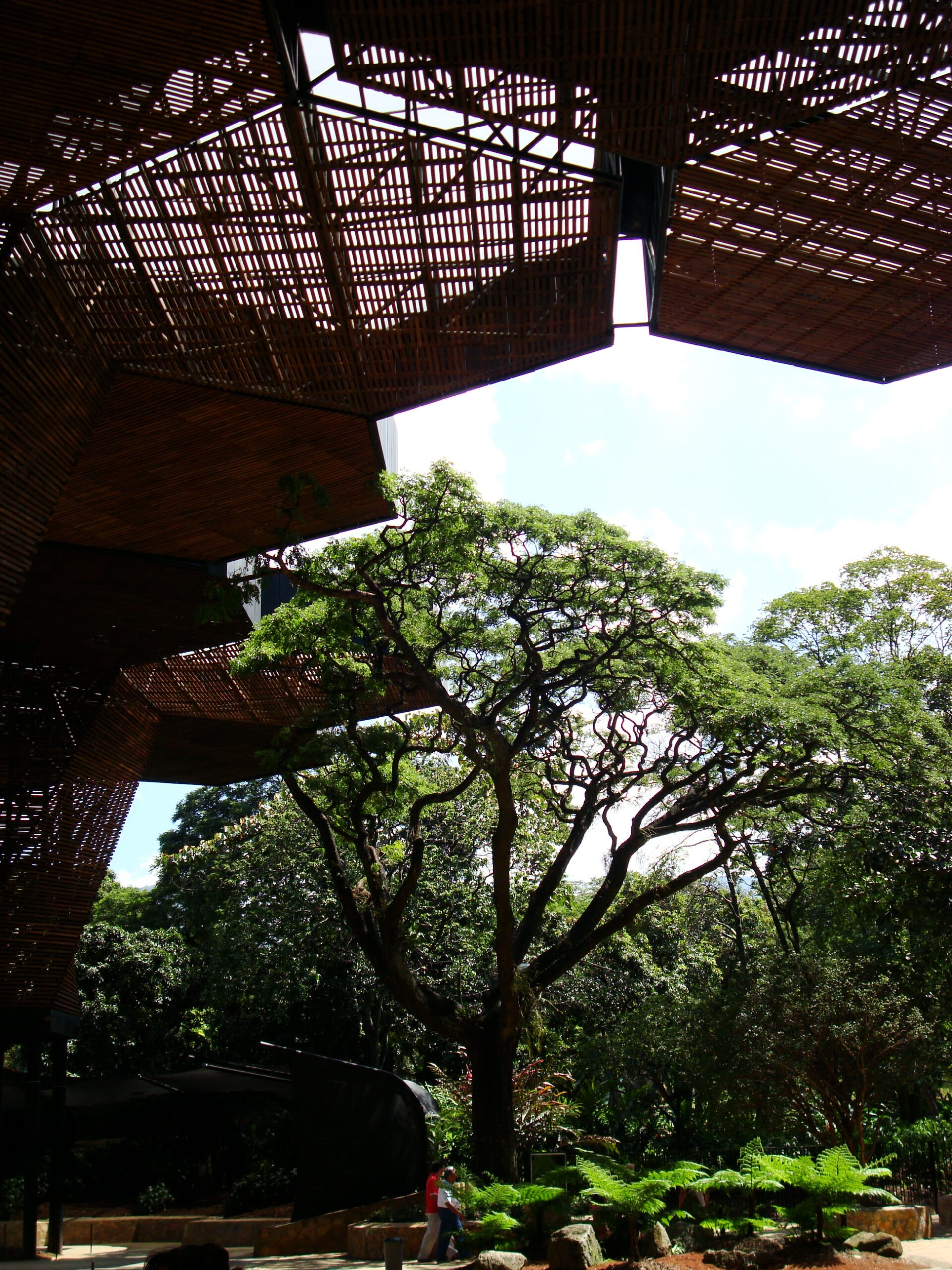 Orquideorama structure at the Medellín Botanical Garden in daylight.