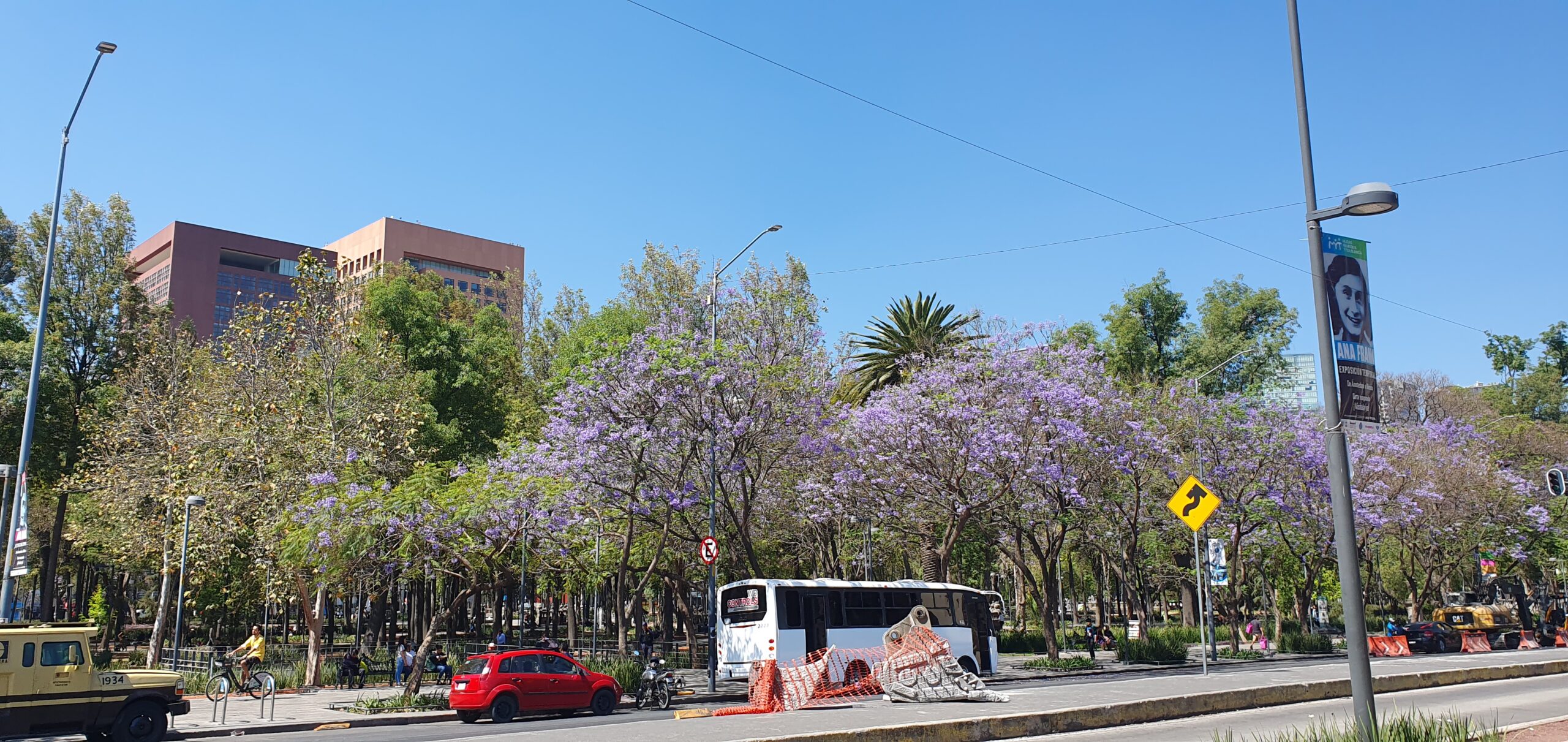 Tree-lined promenade at Alameda Central in Mexico City on a bright day.