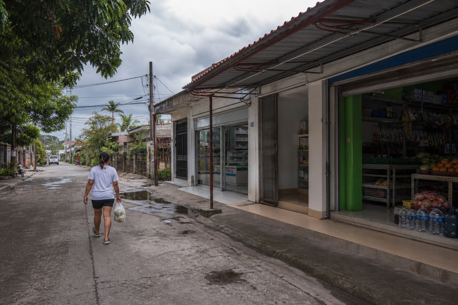 Illustrative Iloilo neighborhood pharmacy and grocery errand route after rain.