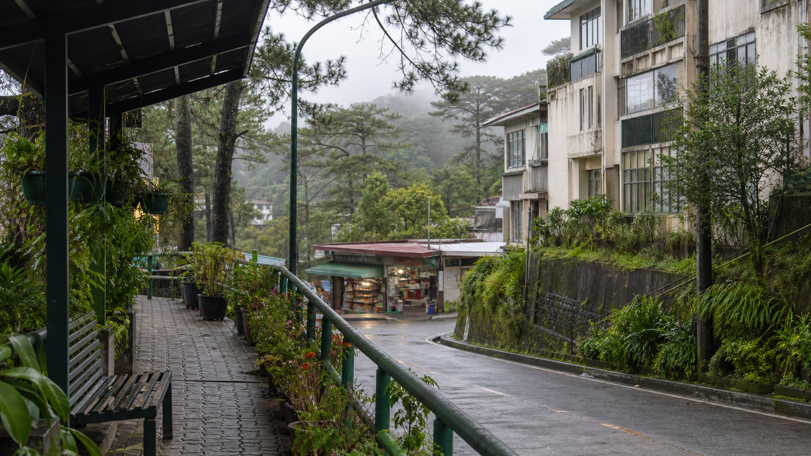 Misty Baguio neighborhood with pine trees and a wet street.