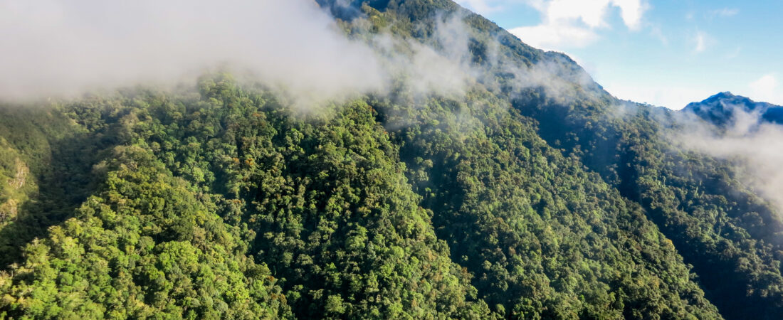 Boquete for Americans Who Want a Cooler Mountain Base in Panama