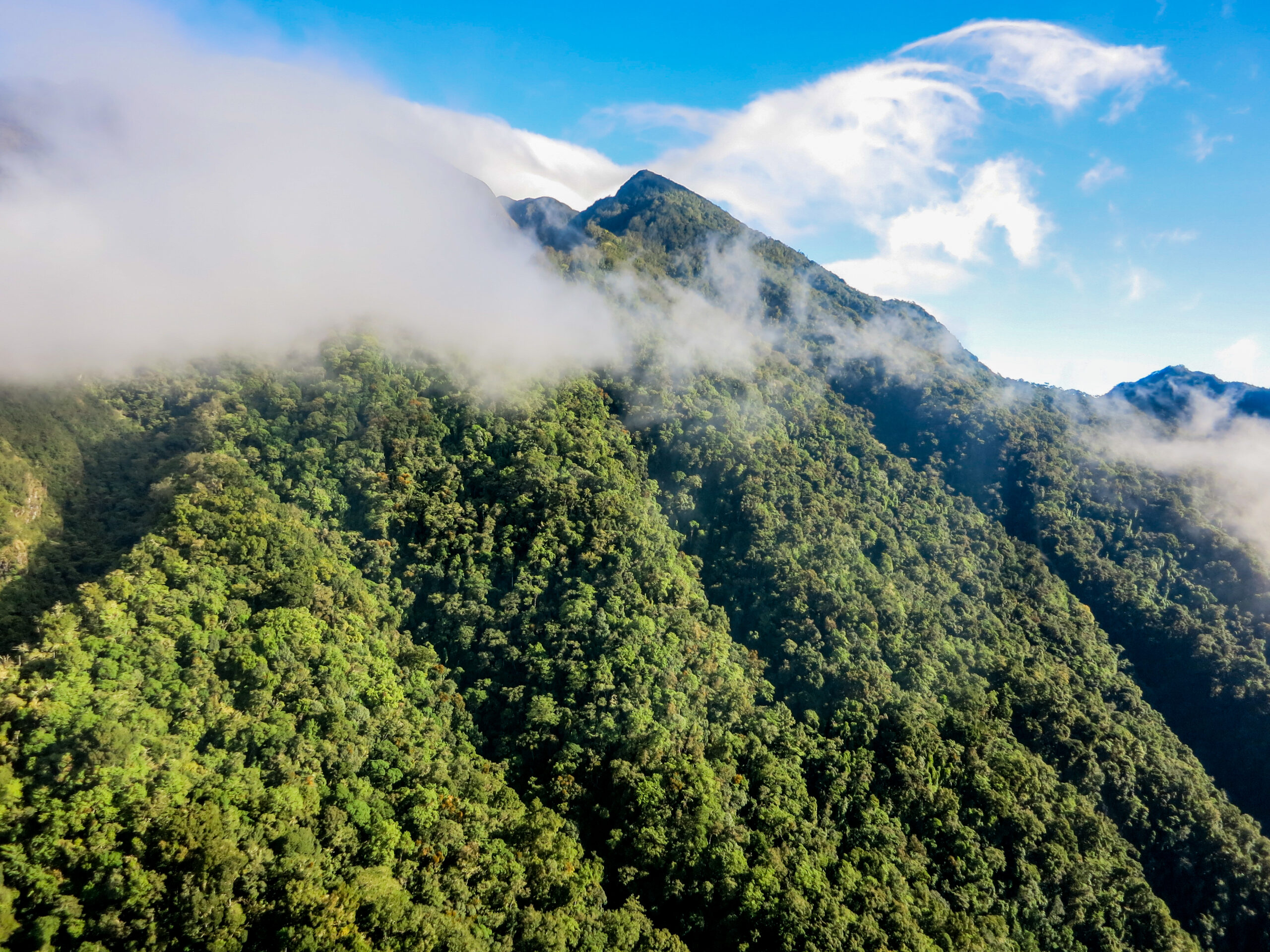Boquete for Americans Who Want a Cooler Mountain Base in Panama
