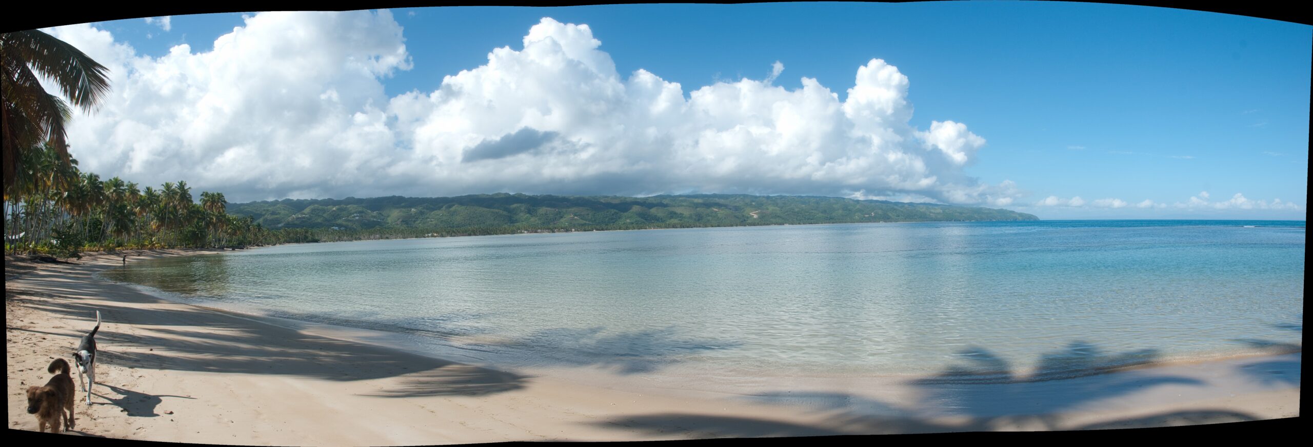 A panoramic beach scene in Las Terrenas, Dominican Republic.